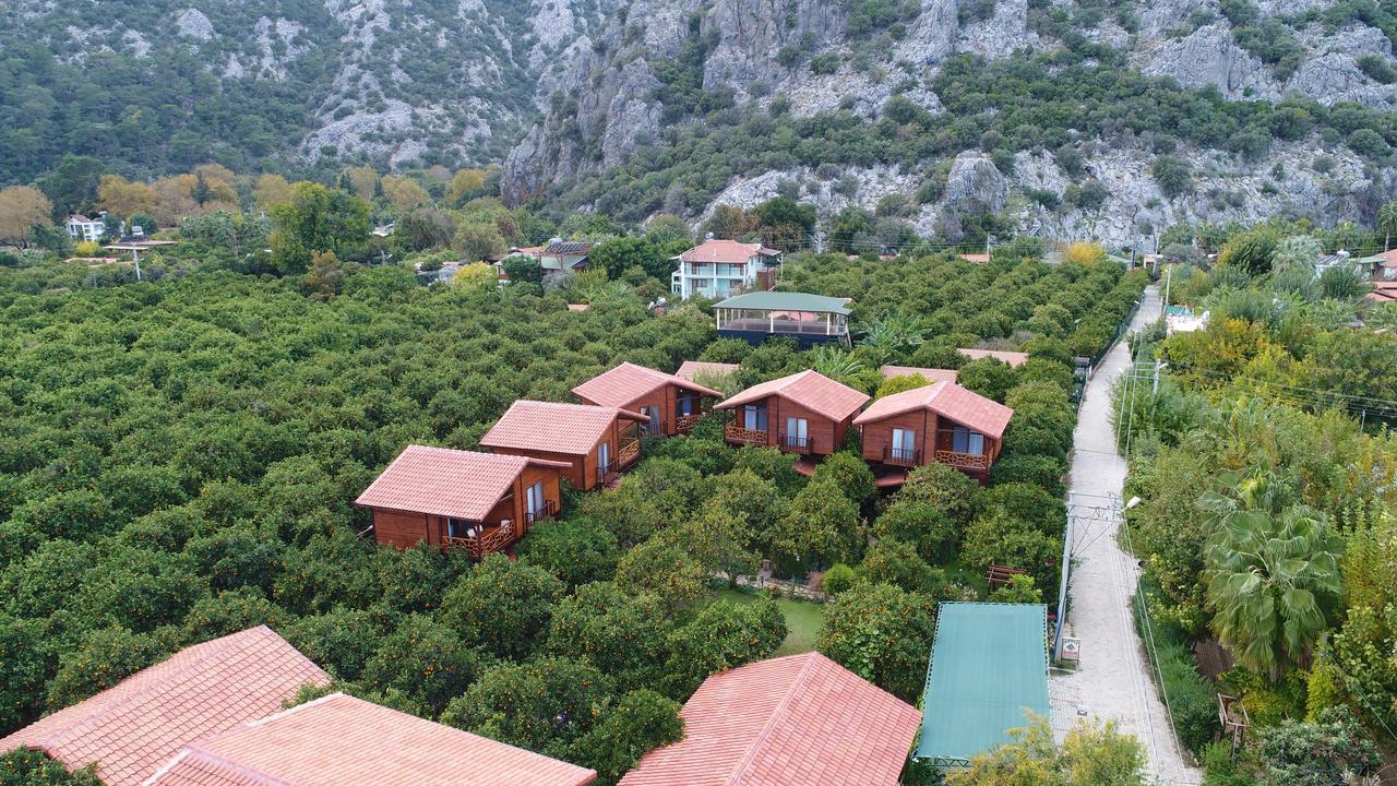 فيلا باهجة Çıralı المظهر الخارجي الصورة